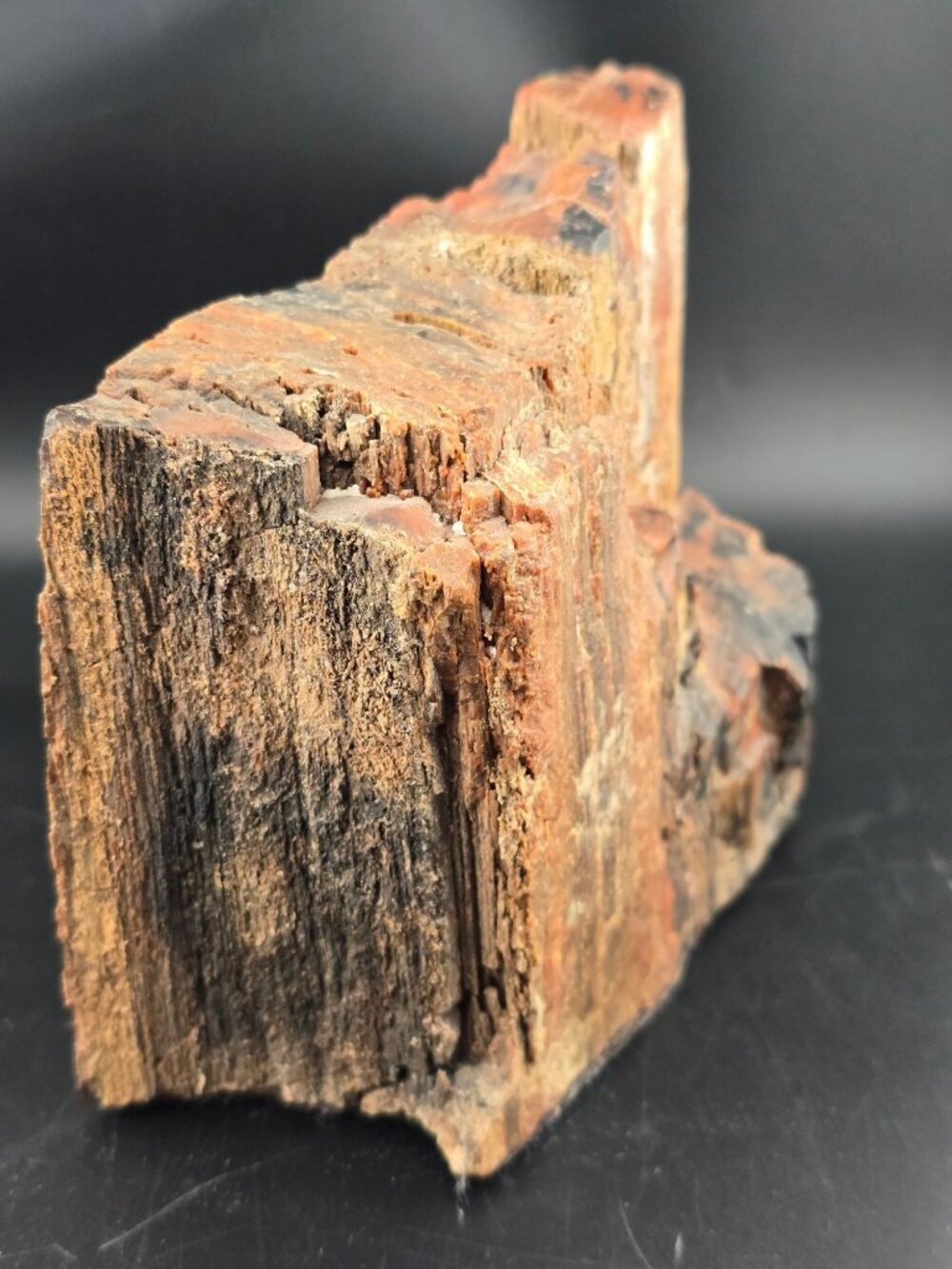 Petrified Wood Fossil Specimen With Rich Red & Black Hues, Polished/Raw -2.1 lbs - Picture 8 of 16